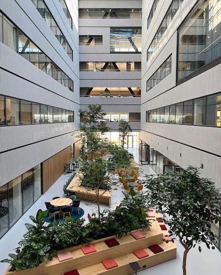 Open-plan office in Amsterdam